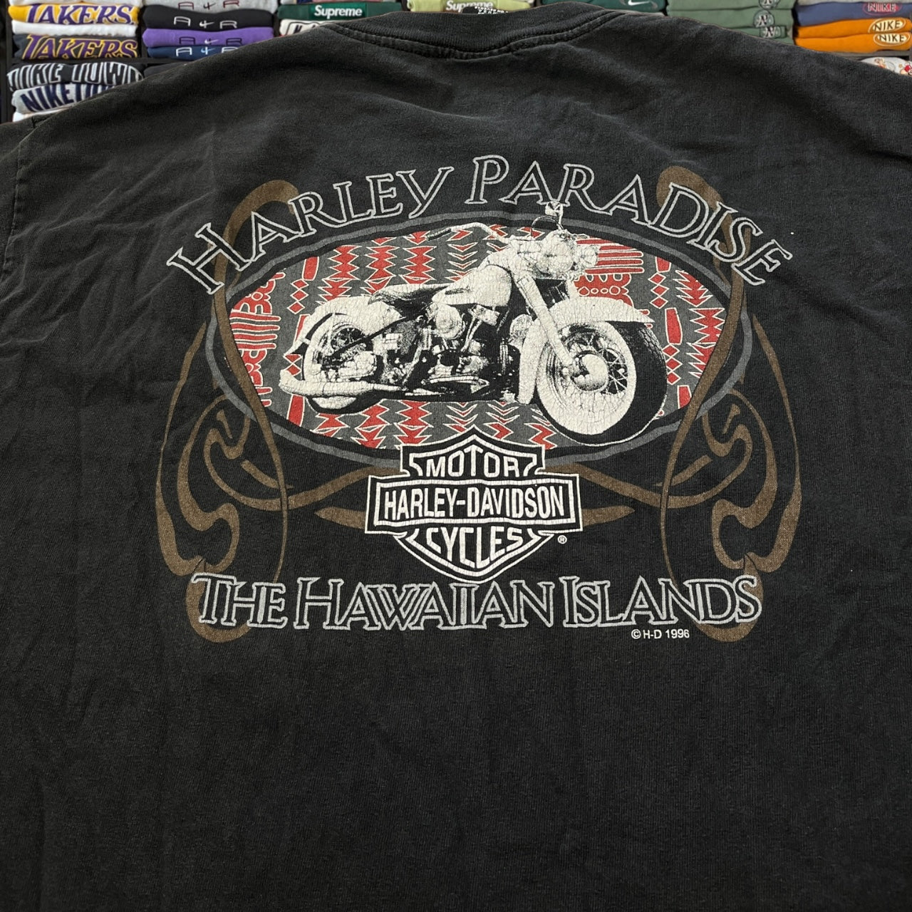Y2K Harley Davidson biker motorcycle