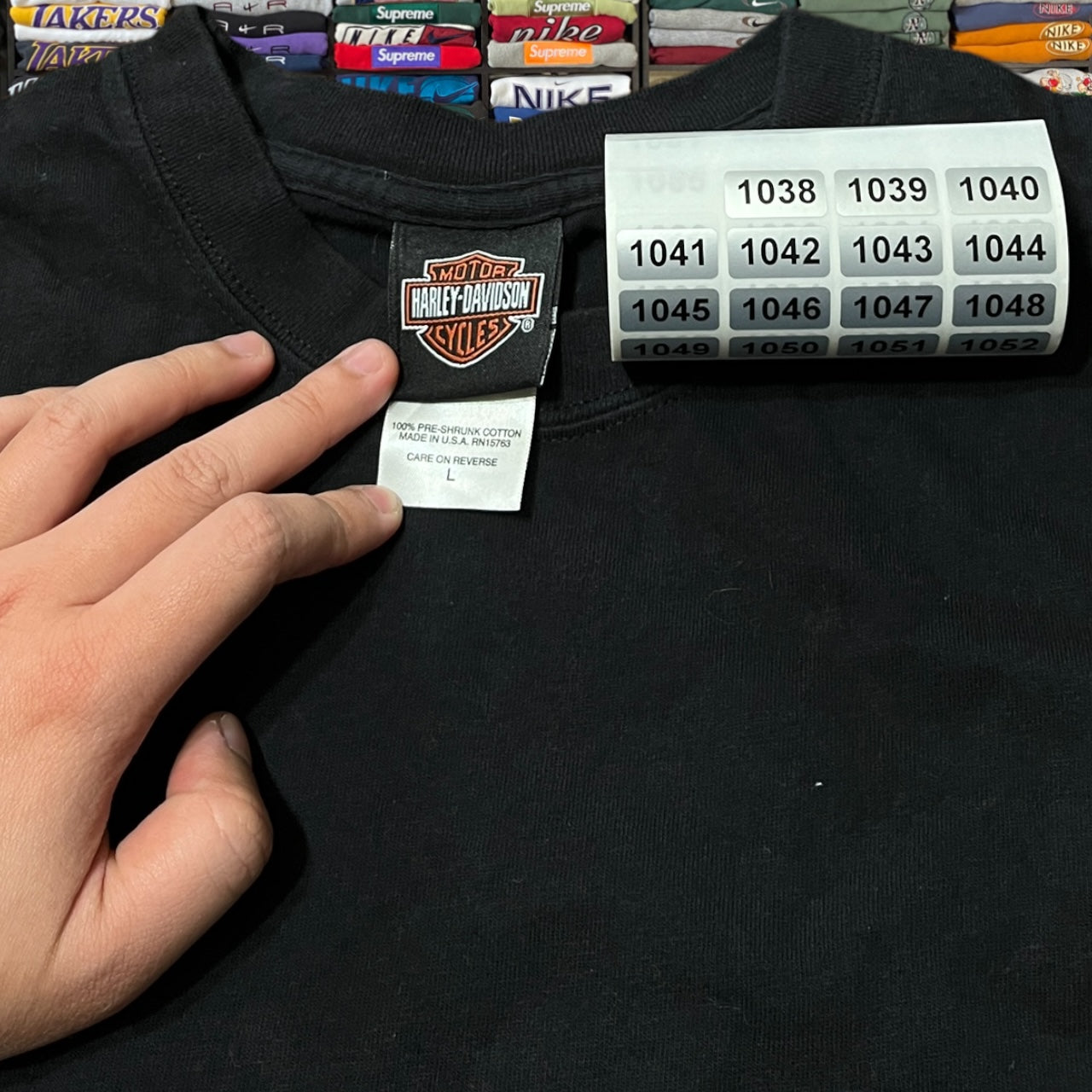 Y2K Harley Davidson biker motorcycle