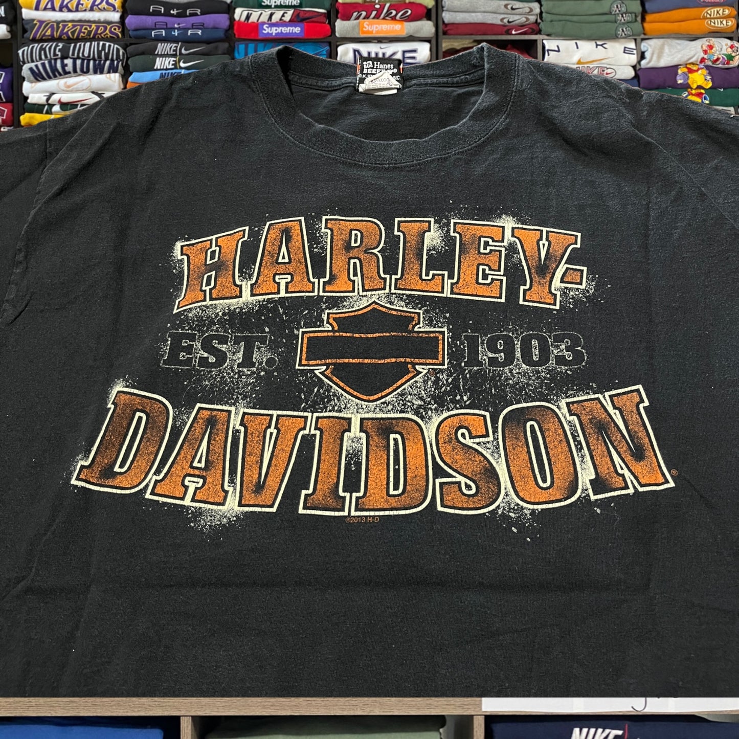 y2k 2005 harley davidson biker (xlarge)