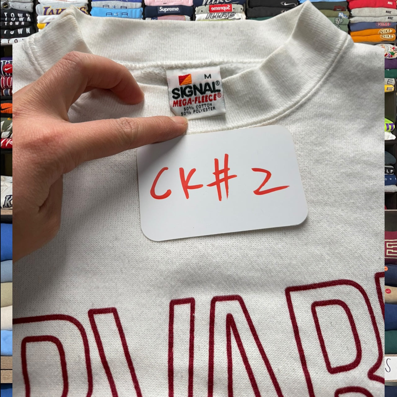 90s harvard university (Medium)