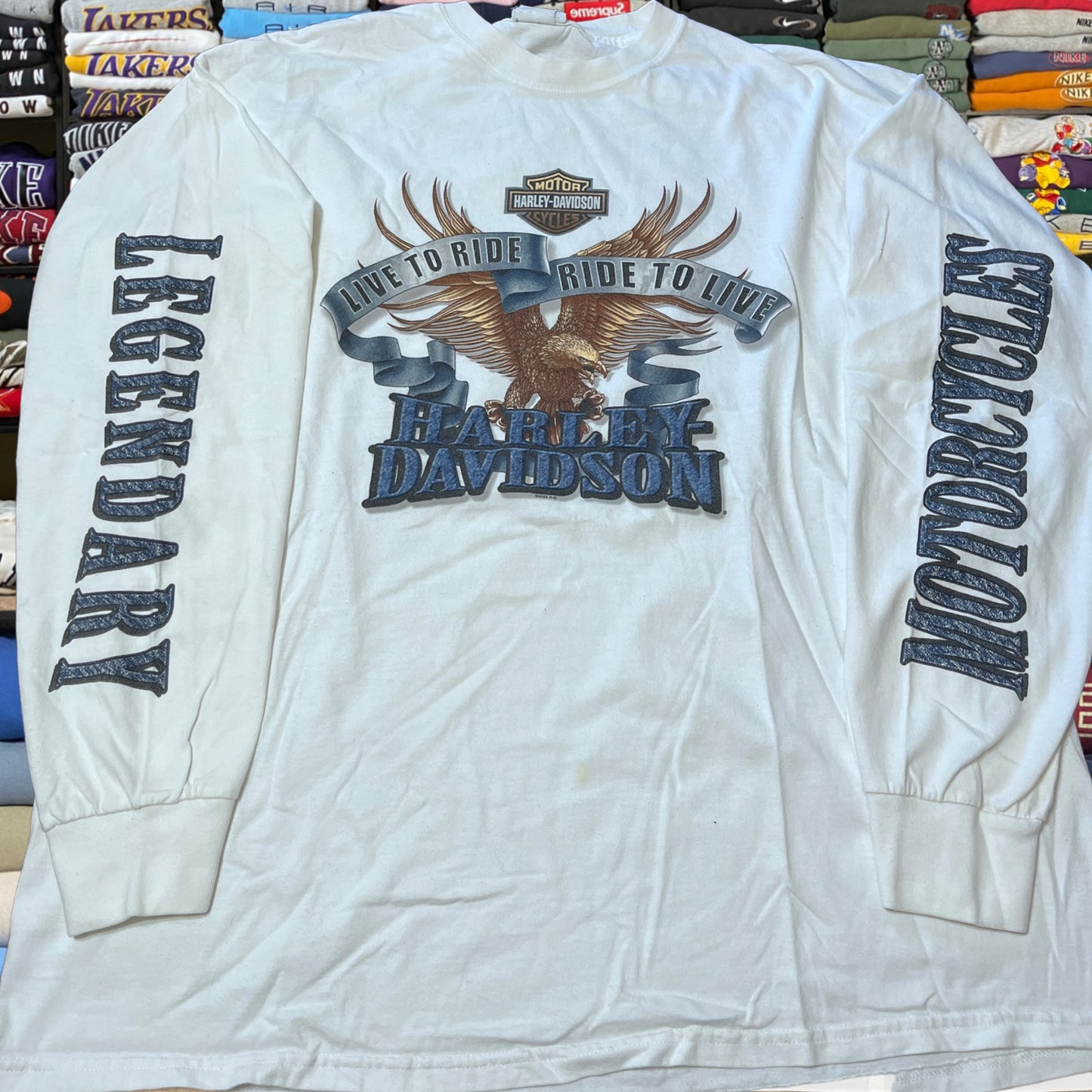 Y2K Harley Davidson biker motorcycle