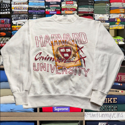 90s harvard university (Medium)