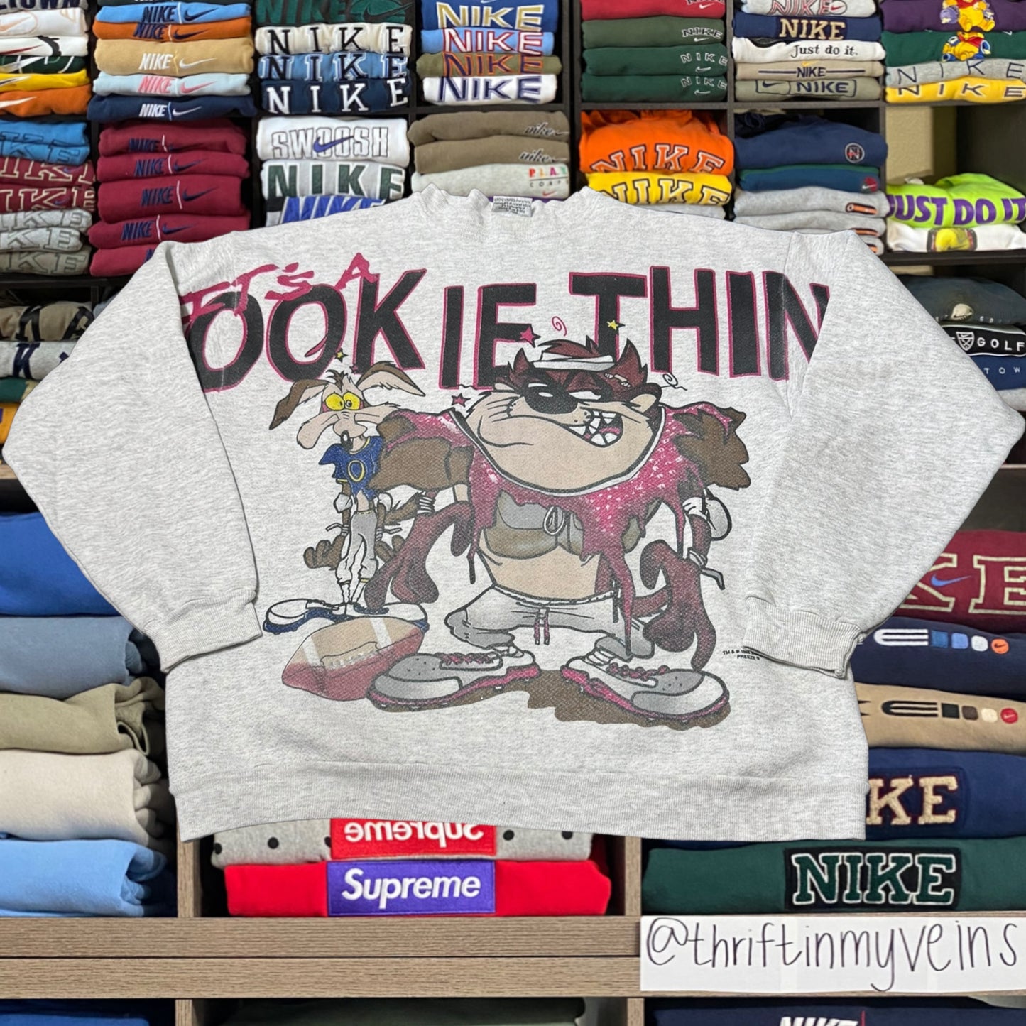 1996 looney tunes taz ( large )