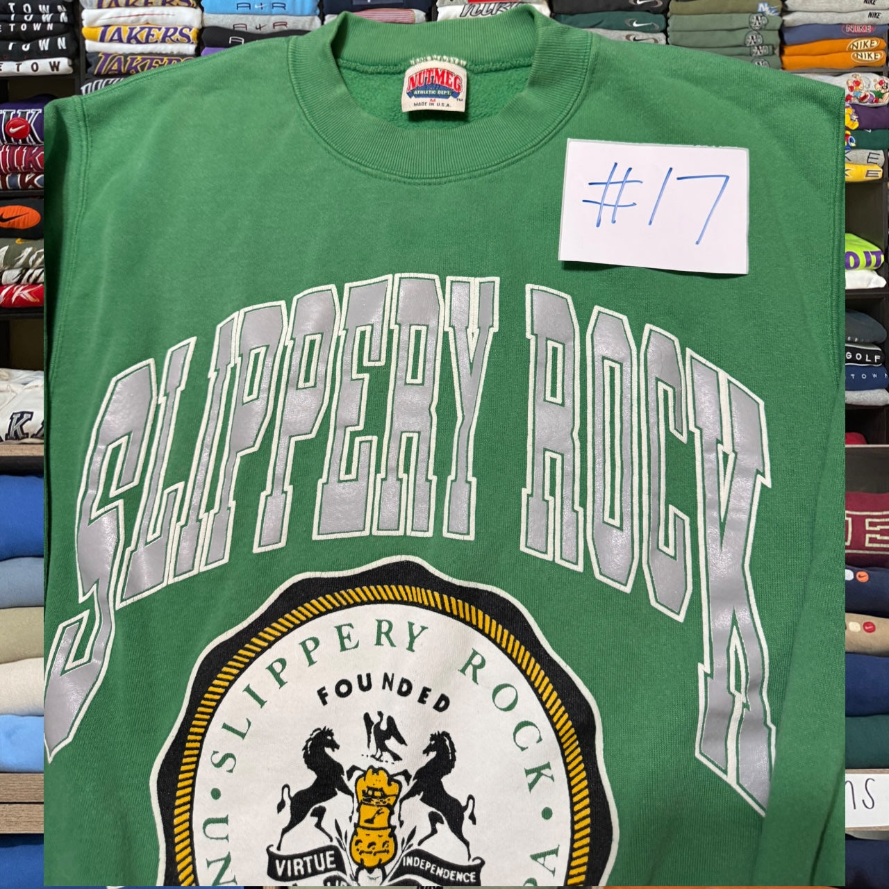 90s slippery rock sweatshirt (Medium)
