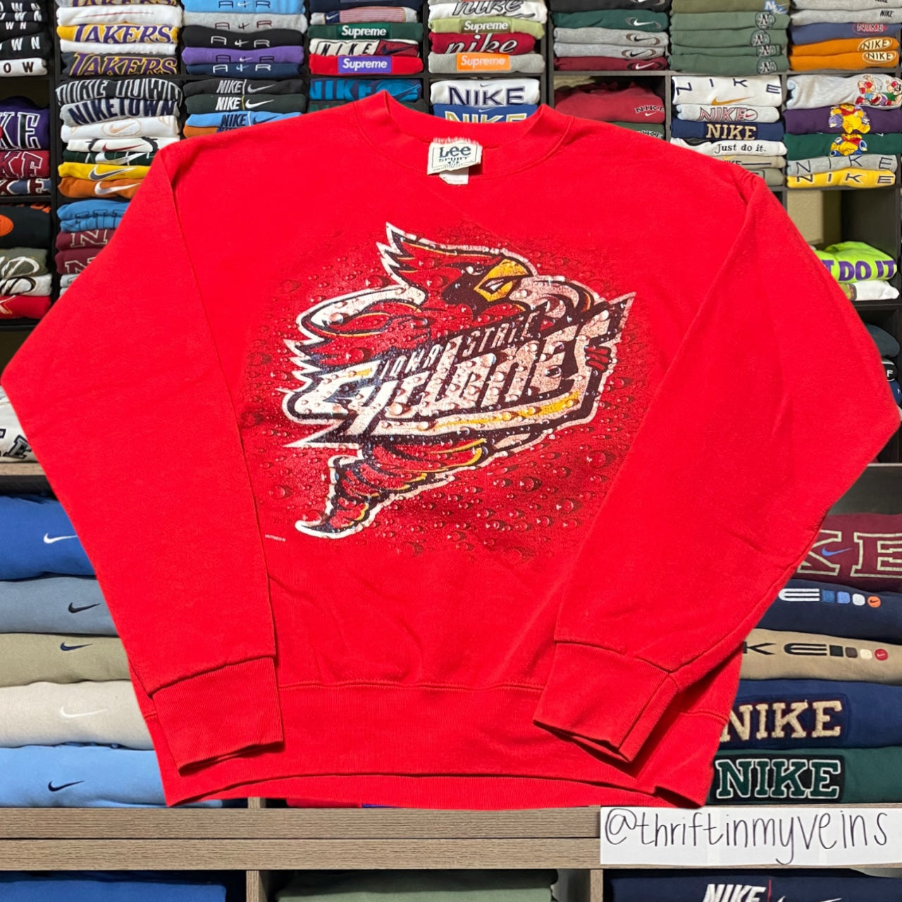 90s Iowa state university (medium)