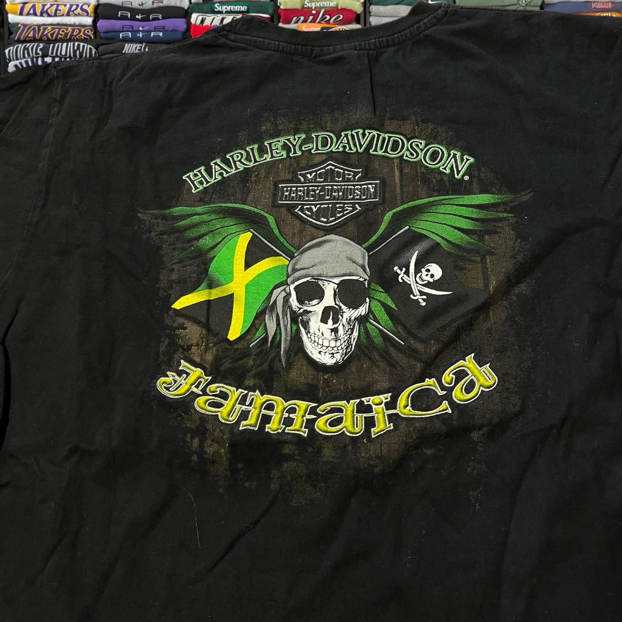 Y2K Harley Davidson biker motorcycle
