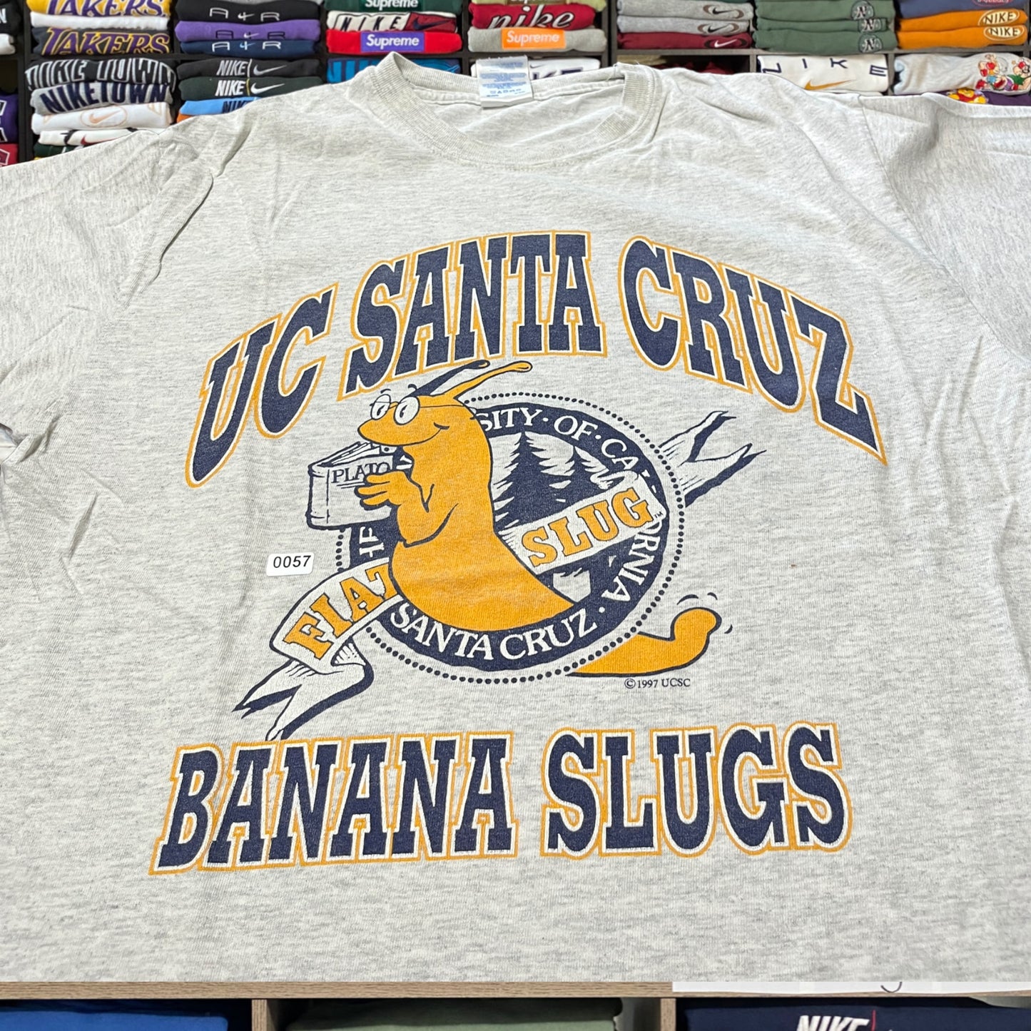 y2k 97'santa cruz shirt (medium)
