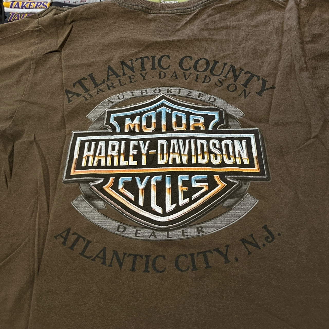 Y2K Harley Davidson biker motorcycle
