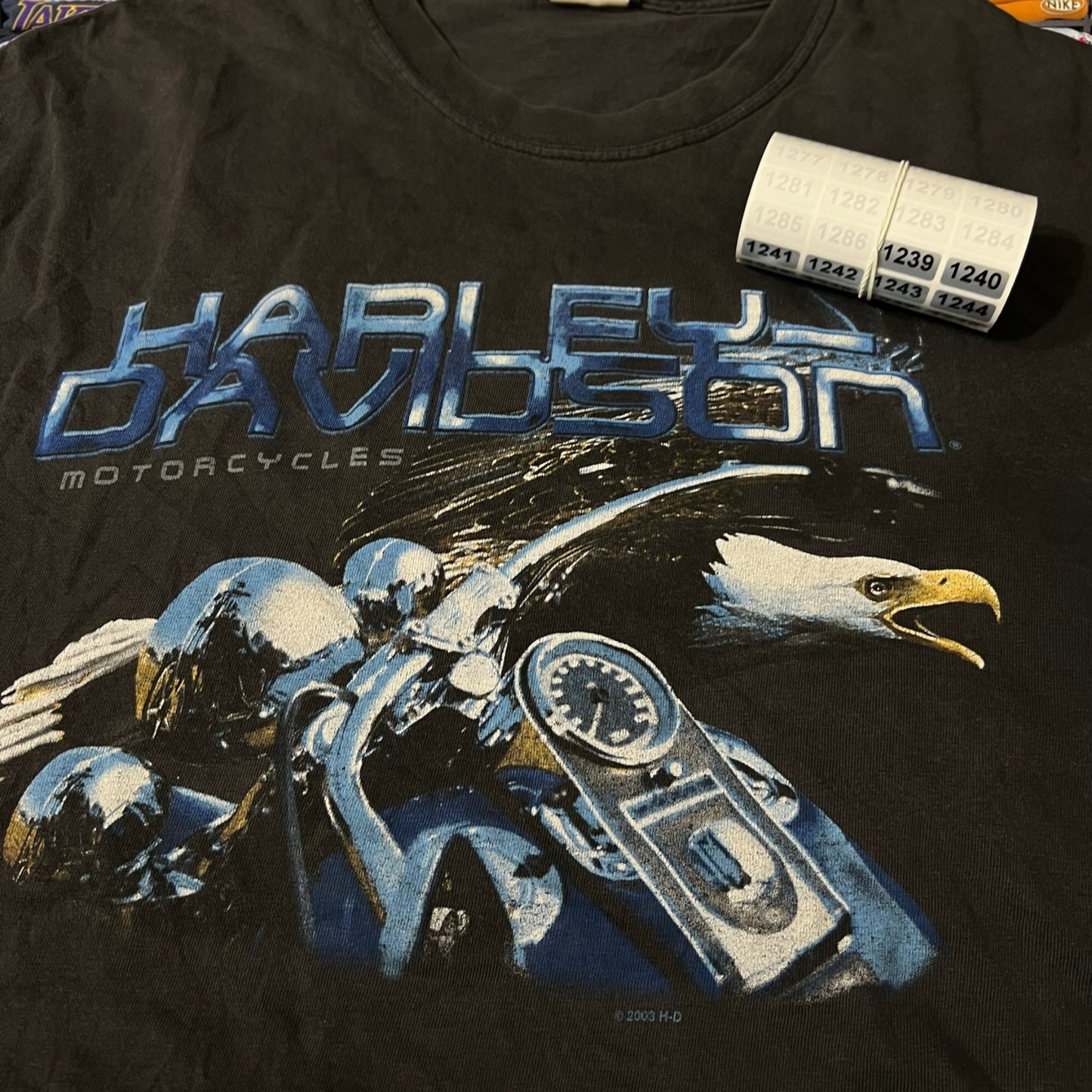2003 Harley Davidson biker motorcycle ( large )