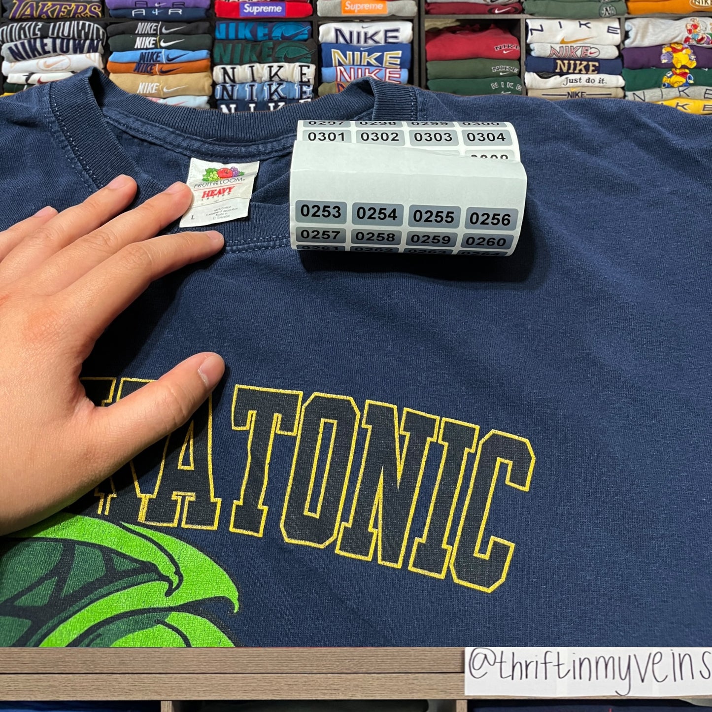 vintage y2k fighting irish notre dame shirt