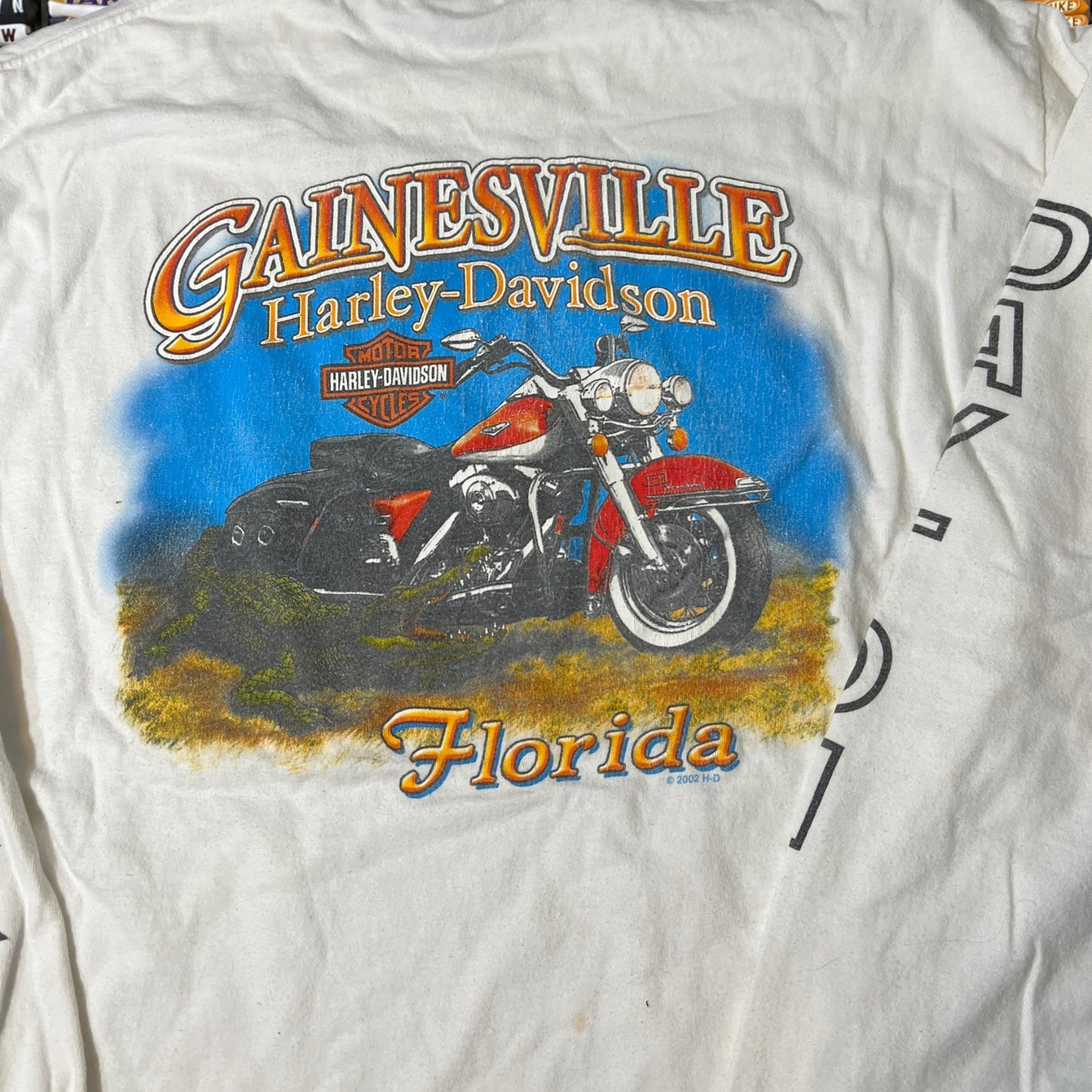 2002 Harley Davidson biker shirt ( large )