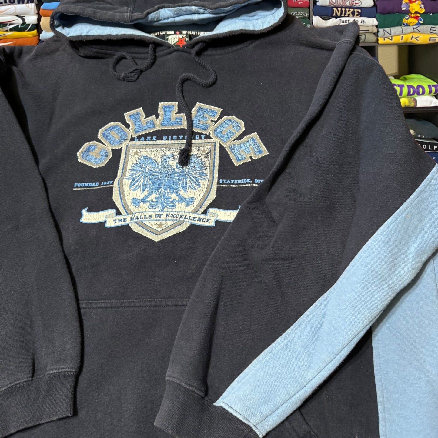 Y2K skater hoodie top heavy