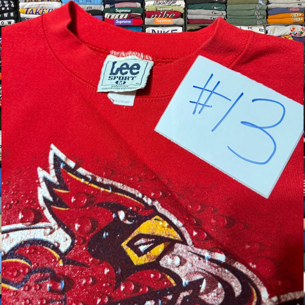 90s Iowa state university (medium)