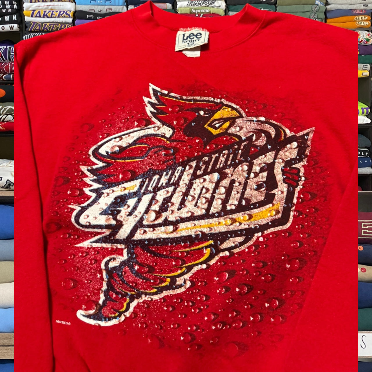 90s Iowa state university (medium)