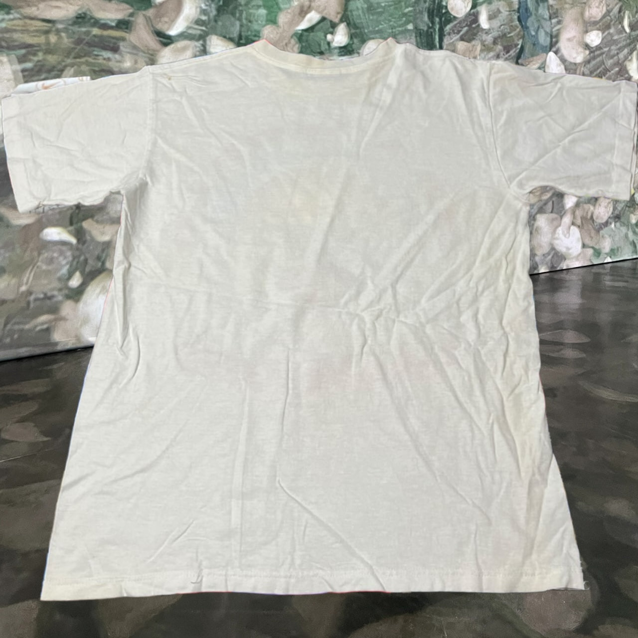 1993 Chicago bulls nba basketball shirt (large)