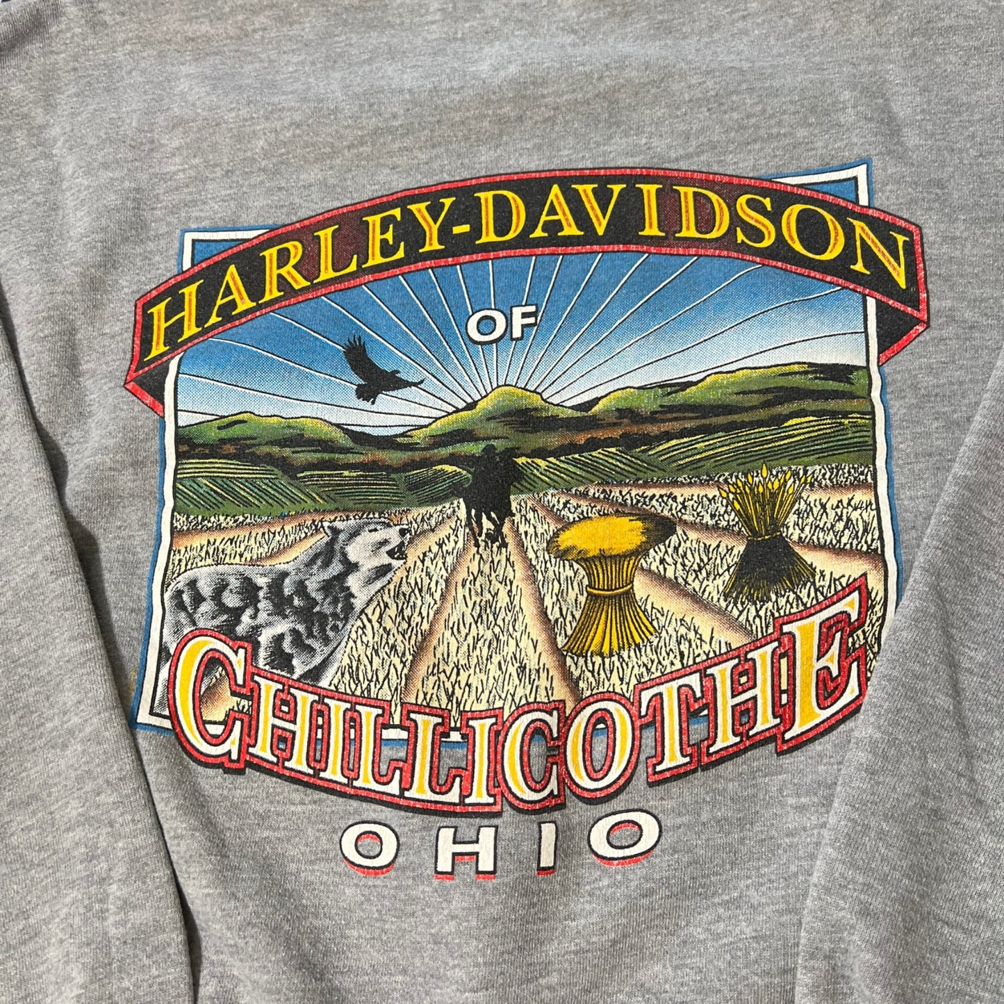 2000 Harley Davidson sweater biker ( xlarge )