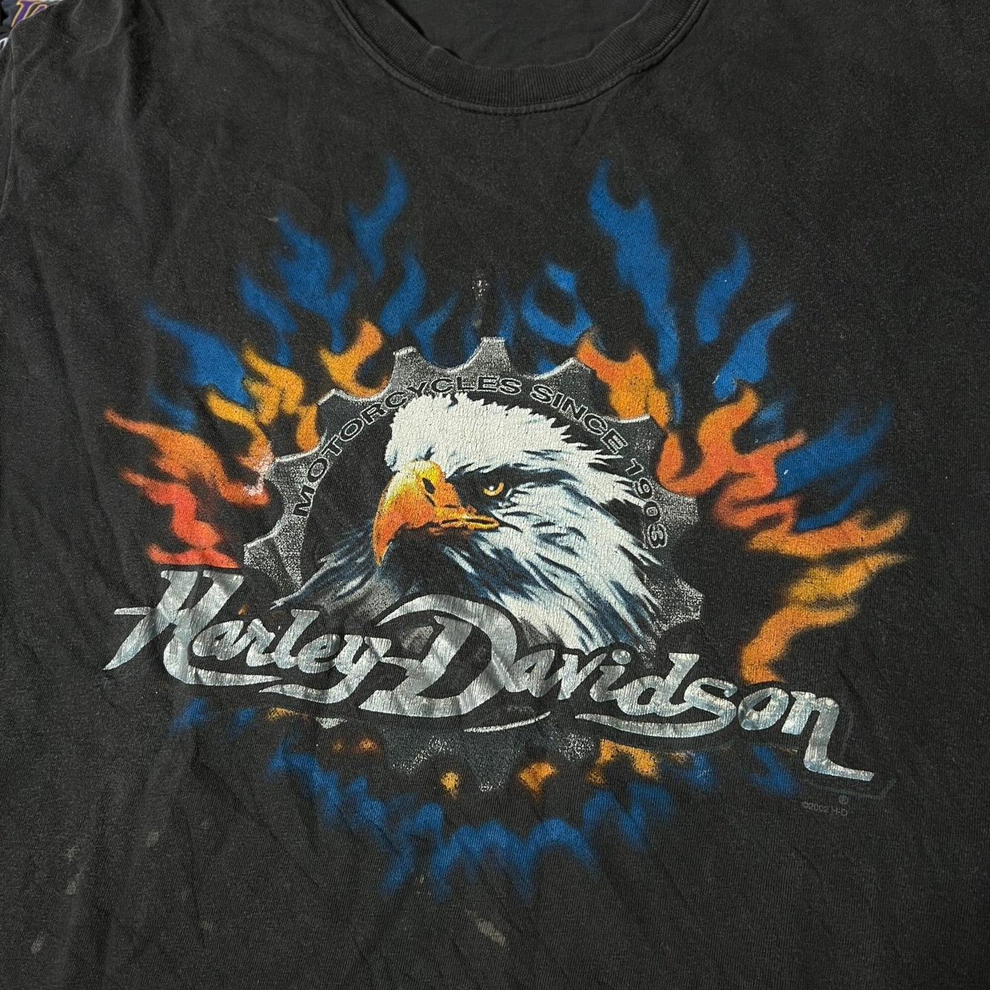Y2K 2002 Harley Davidson biker motorcycle shirt