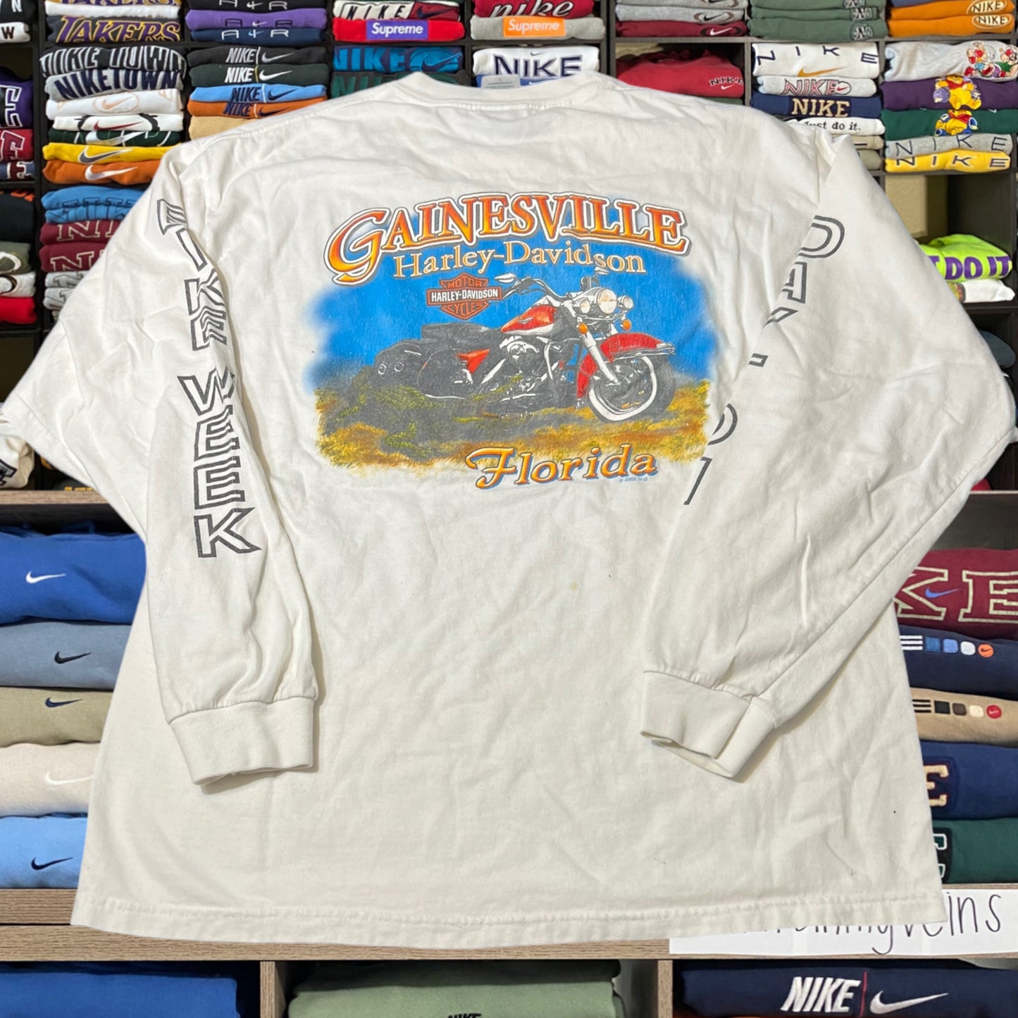 2002 Harley Davidson biker shirt ( large )