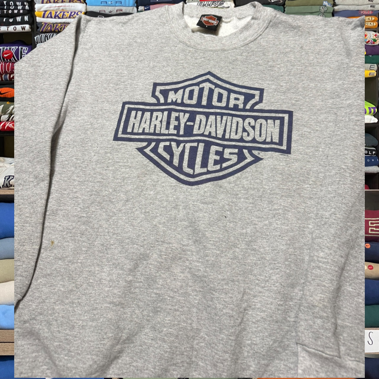 y2k harley davidson biker (Large)