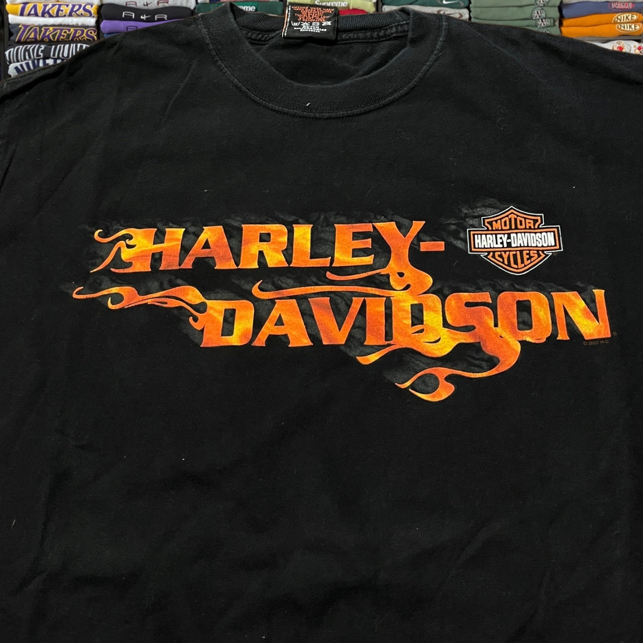 Y2K Harley Davidson biker motorcycle